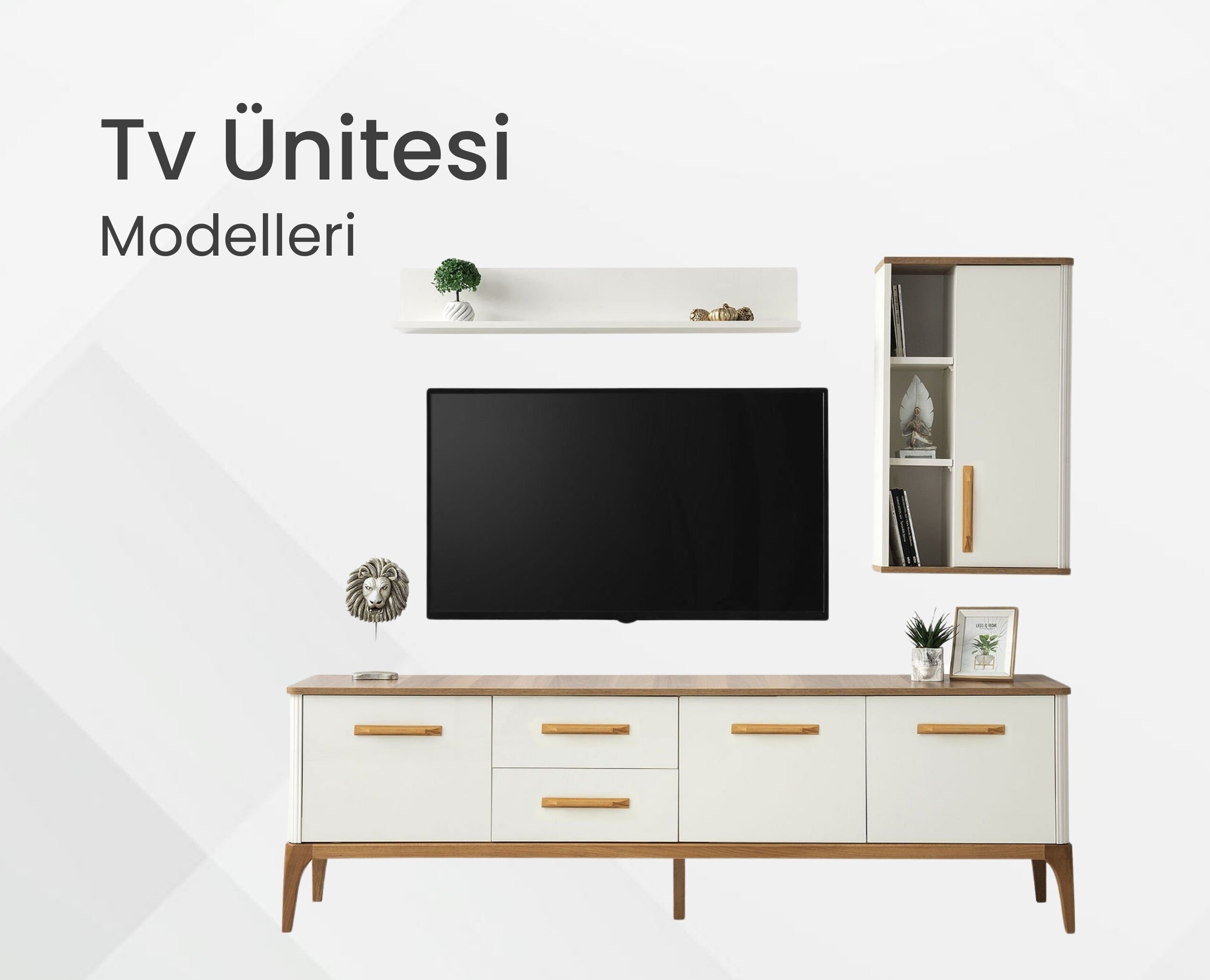 Tv Ünitesi